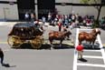 05.05.11.DorchesterDayParade.150